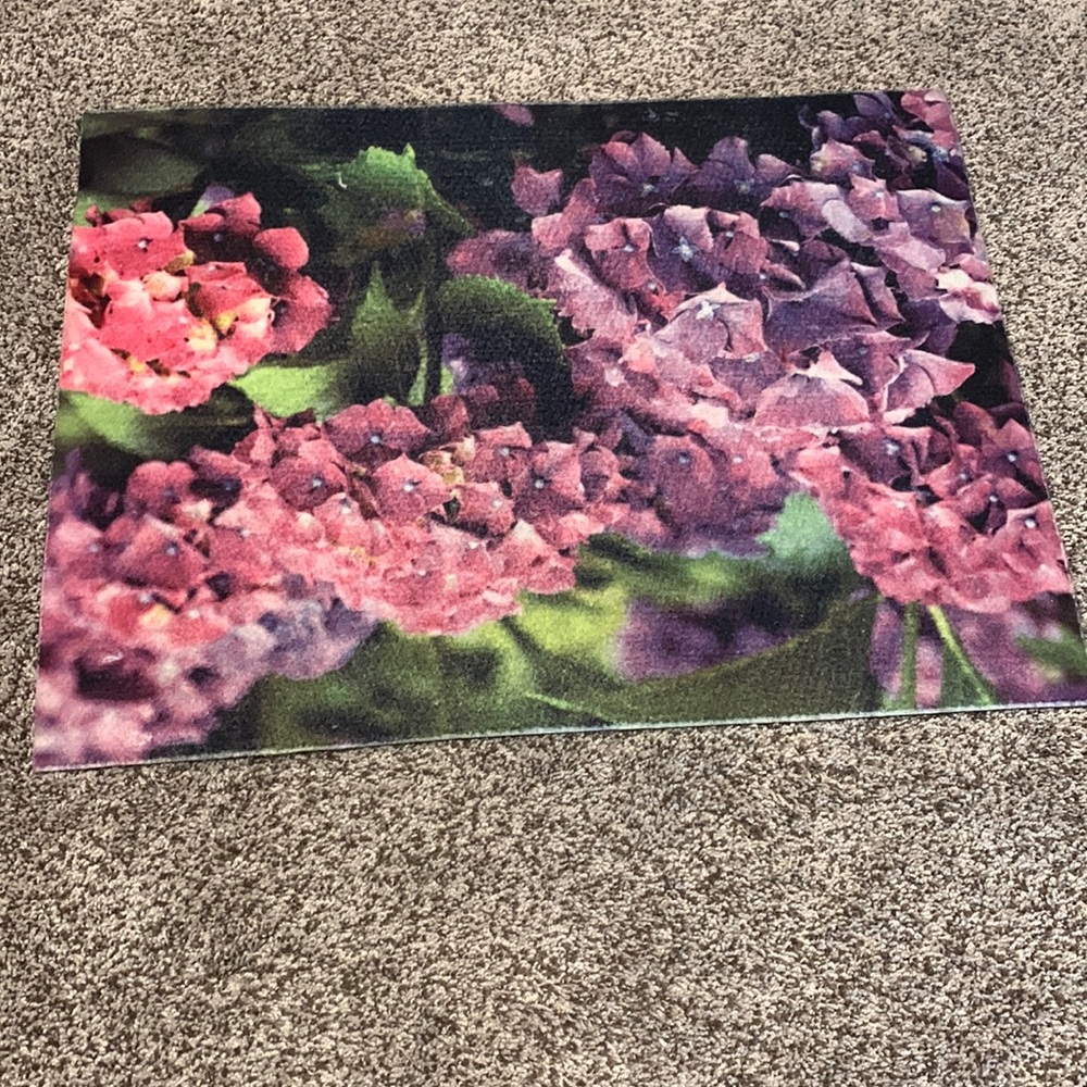18x24” rug NWOT